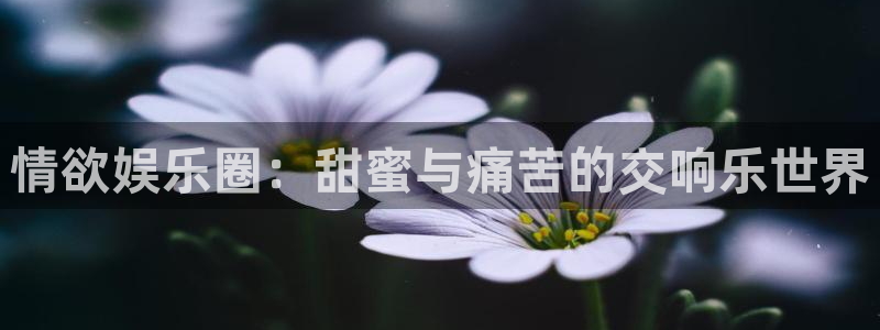 杏鑫娱乐